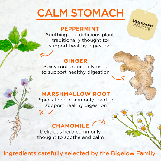 Bigelow® Benefits Calm Stomach Ginger and Peach Herbal Tea (18 Pack)