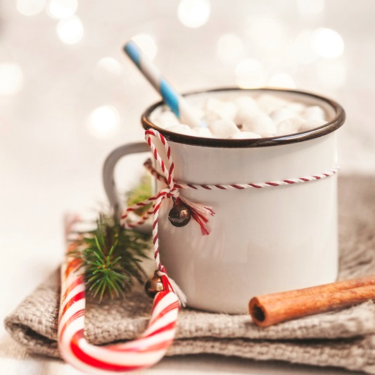 Gourmet Du Village No Sugar Added Candy Cane Hot Chocolate (15g/0.5oz)