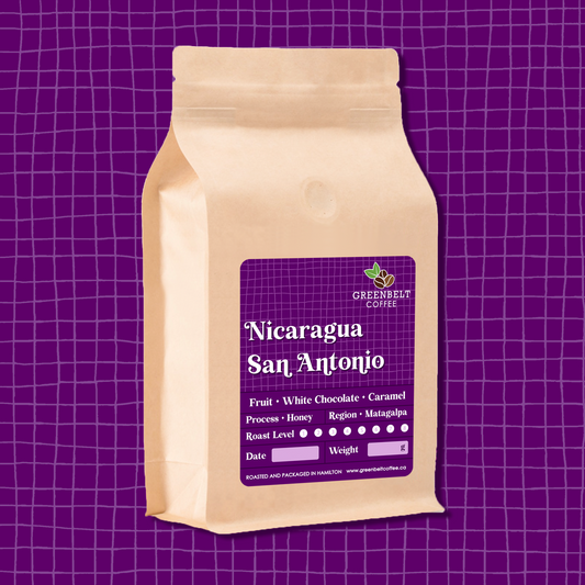Nicaragua San Antonio Beans - Limited Stock