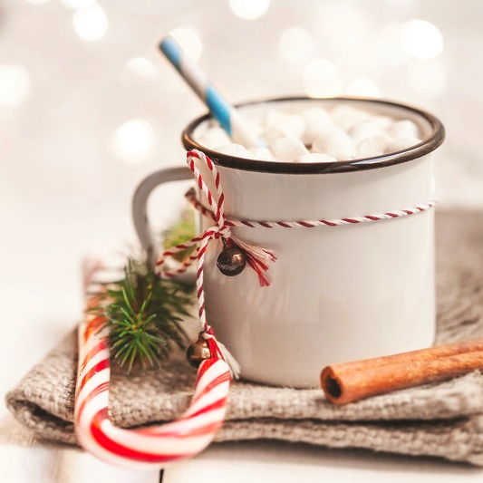 Gourmet Du Village Peppermint Hot Chocolate (35g/1.2oz)