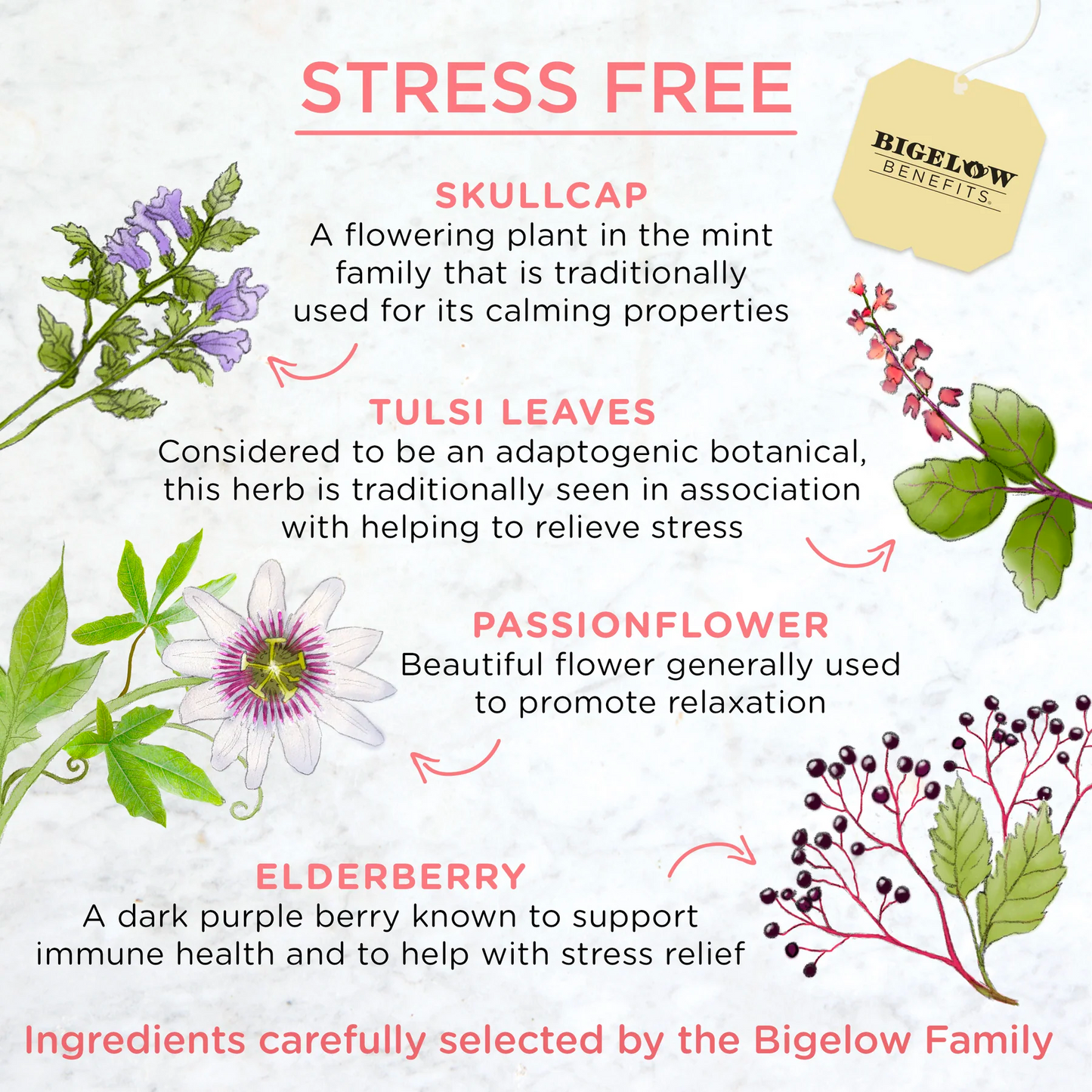Bigelow® Benefits Stress Free Rose and Mint Herbal Tea (18 Pack)
