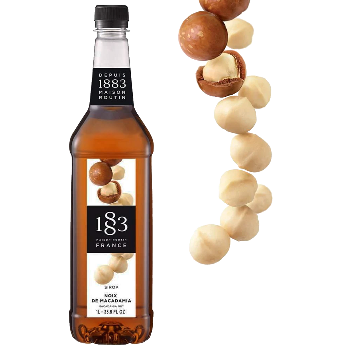 1883 Maison Routin Macadamia Nut Syrup (1L)