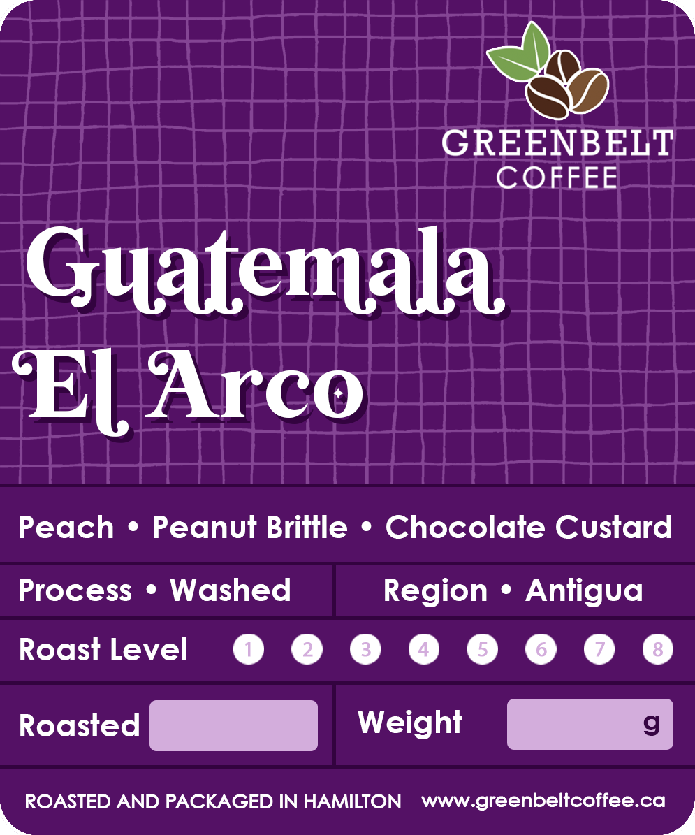 Guatemala El Arco Beans