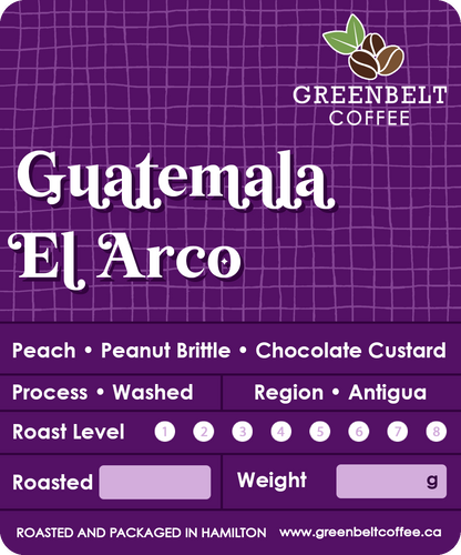 Guatemala El Arco Beans