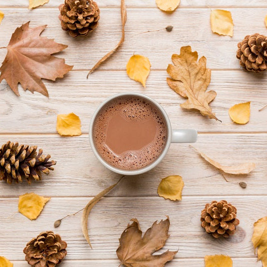 Gourmet Du Village Woodland Friends Hot Chocolate Cube (140g/4.9oz)