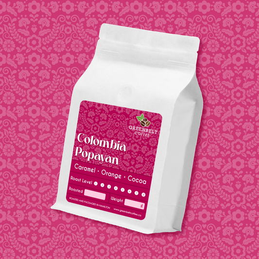 Colombia Popayan - City Roast 340g