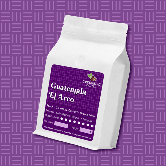 Guatemala El Arco - Medium Roast 340g
