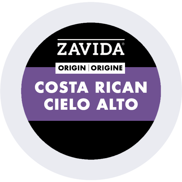Zavida® Costa Rican Cielo Alto (24 Pack)